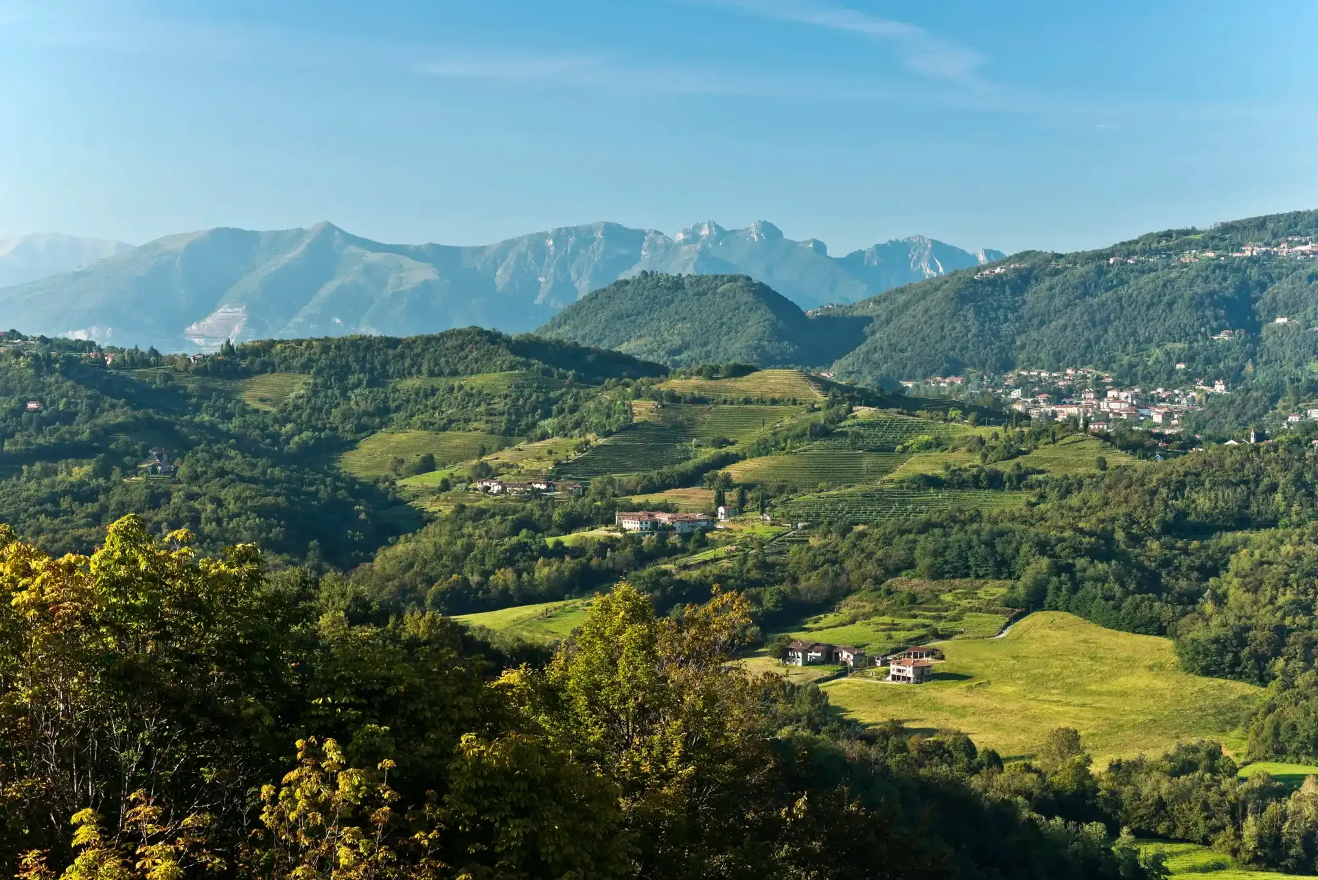 Colline della Val Curone