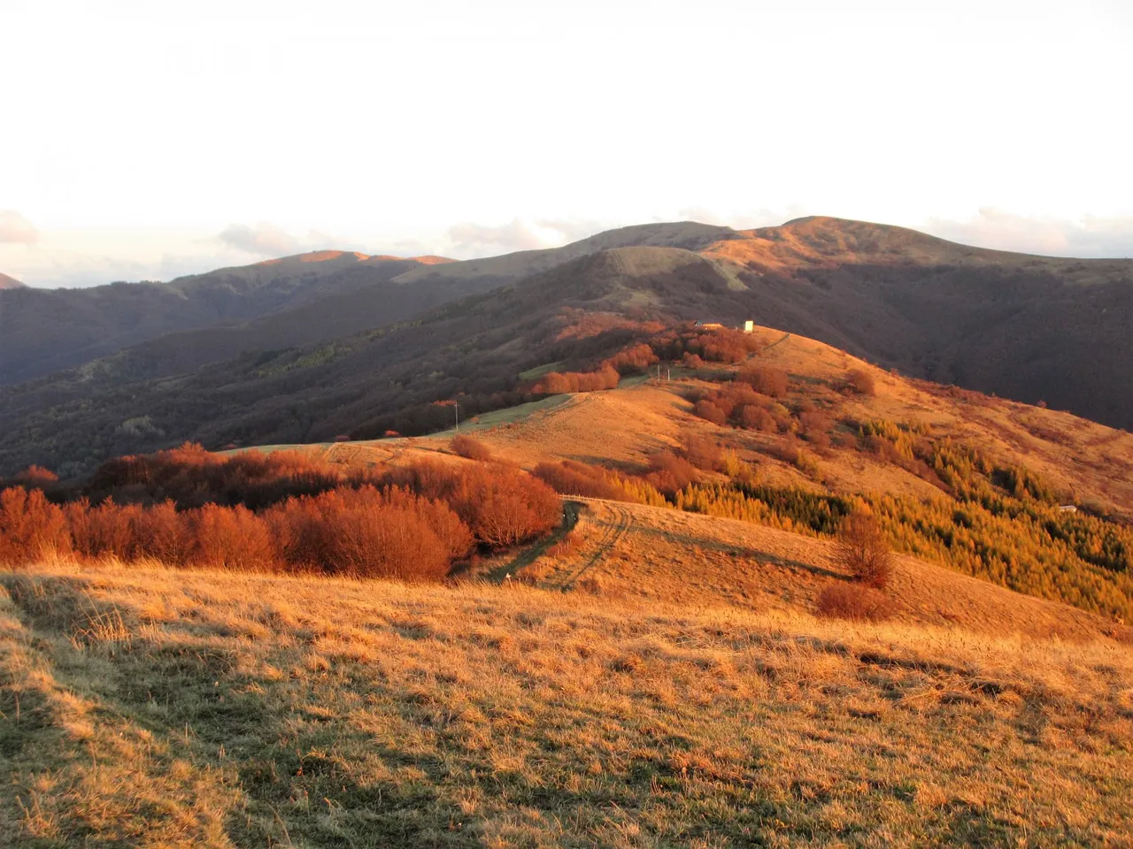 Paesaggio collinare con luce dorata del tramonto